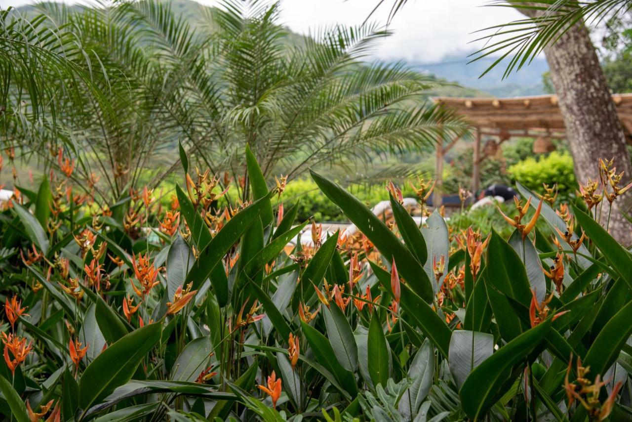 Nativa Refugio Escondido Hotell Santa Fe de Antioquia Eksteriør bilde